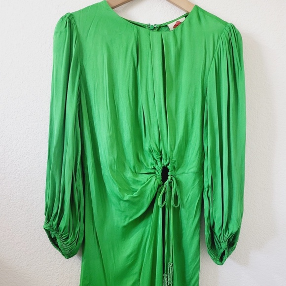 Farm Rio Green Front Circle Cut Out Midi Dress w/Long Sleeves - Picture 5 of 9